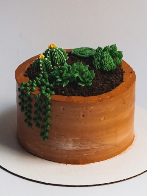 Cakes Simple Decoration, Succulent Pot Cake, Plant Cake Ideas Easy, Plant Pot Cake, Plant Cake Ideas, Plant Cake Design, Plant Cakes Ideas, Plant Cakes, Succulents Cake