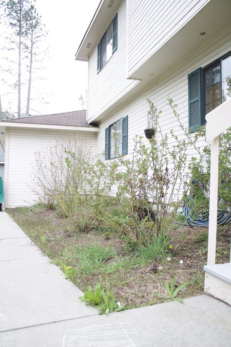 We're taking the One Room Challenge outdoors as we turn our sad rose garden into a front patio area including a water feature and wooden swing. Pea Gravel Patio, Small Front Gardens, Front Flower Beds, Scratch Cooking, Scratch Recipes, Gravel Patio, Wooden Swing, Diy Budget, Front Patio