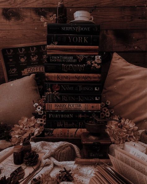 Dark Academia Widget, Dark Academia Book, Photography Places, Dark Academia Wallpaper, Aesthetic Dark Academia, Academia Wallpaper, Slytherin Aesthetic, Book Writer, Dark Academia Aesthetic