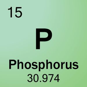 Phosphorus Element, Chemistry Classroom, Teaching Chemistry, Element Symbols, Plant Nutrients, Letter P, Chemistry, Periodic Table, Science