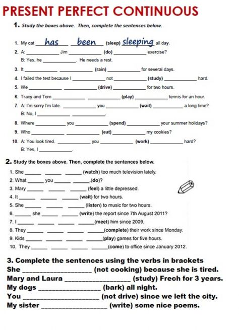 Present Perfect Continuous Exercises, Present Perfect Continuous Worksheets, Present Perfect Tense Exercises, Present Perfect Continuous Tense, Simple Present Tense Worksheets, 6th Grade Activities, Adverbs Worksheet, Tenses Exercises, Present Perfect Continuous