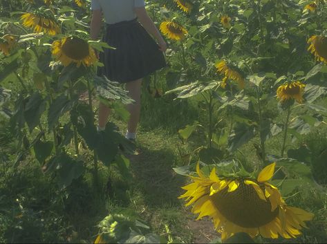 #sunflower #cottage #cottagecore #meadow #fairytale #flowers #aesthetic #gardening Sunflower Garden Aesthetic, Sunflower Cottagecore, Fairytale Flowers, Sunflower Aesthetic, Aesthetic Gardening, Sunflower Cottage, Cabin 7, Aesthetic Garden, Sunflower Garden