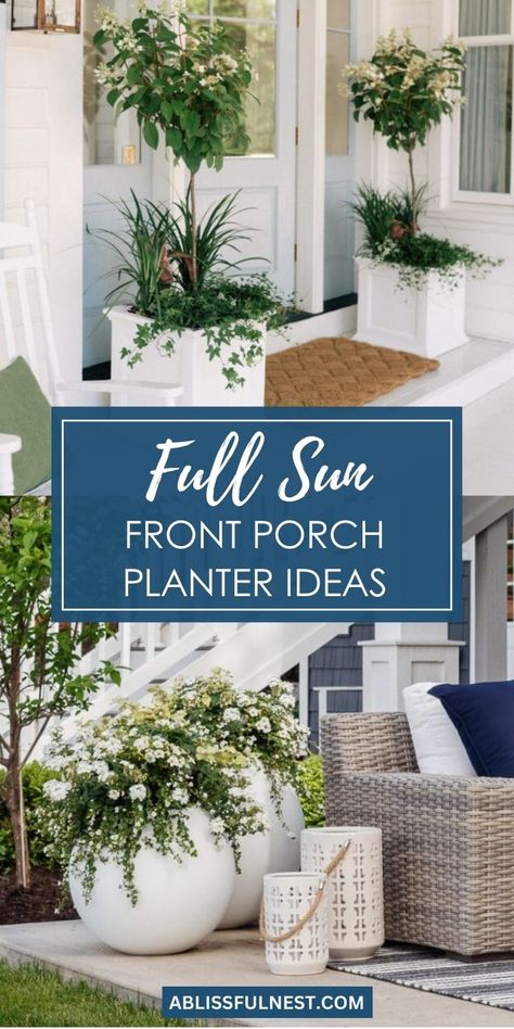 Brighten up your front porch with a burst of color and life! Explore our collection of full sun front porch planter ideas, featuring vibrant blooms that thrive in sunny spots. From cascading petunias to heat-loving succulents, discover the perfect combination to welcome guests with a cheerful display.  #frontporchdecor #containergardening #summerblooms Front Porch Planter Ideas Full Sun, Cascading Petunias, Front Porch Planter Ideas, Front Porch Planter, Porch Planter Ideas, Porch Planter, Outdoor Interior Design, Expand Furniture, Front Porch Planters