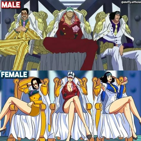 One Piece Genderbend, Anime Genderbend, Destiny Comic, One Piece Crossover, Touhou Anime, Anime Community, One Piece Meme, One Piece Funny, Funny Images Laughter