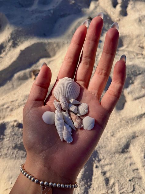 Shells Pictures Beach, Holding Seashells Aesthetic, Shells On Beach, Aesthetic Mask, Jamaica Beach, Cute Beach Pictures, Beach Shells, Reels Ideas, Creation Crafts