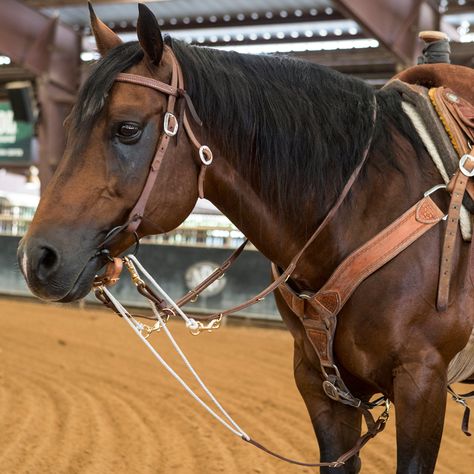 Roper/Barrel Style German Martingale Barrel Racing Aesthetic, Horse Hacks, Barrel Reins, Tack Board, Horse Adventure, Cowboy Crafts, Horse Reining, Dream Horse Barns, Rodeo Cowboys