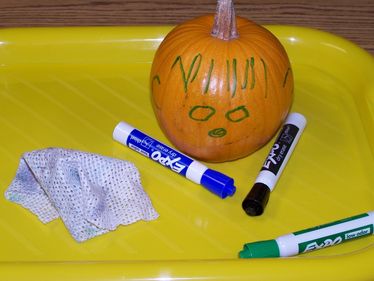 Pumpkin Face Activities Preschool, Mini Pumpkin Activities, Pumpkin Measuring Preschool, Pumpkin Themed Preschool Activities, Pumpkin Exploration Preschool, Pumpkin Provocations, Pumpkin Preschool Activities, Pumpkin Preschool, Pumpkin Activities Preschool