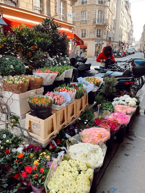 Flower stand in paris Florist Flowers In Paris, Paris Flower Market, Spring Feels, Iris Bouquet, Paris Flowers, Midnight In Paris, Covent Garden London, Europe Aesthetic, Flowers For Sale