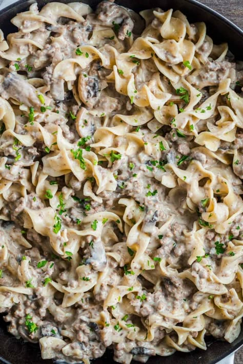 Creamy Ground Beef Stroganoff, Ground Beef And Alfredo Sauce, Beef And Alfredo Sauce, Stroganoff Recipe Ground Beef, Leftover Ground Beef Recipes, Leftover Ground Beef, Crock Pot Stroganoff, Beef Gravy Recipe, Recipe Ground Beef