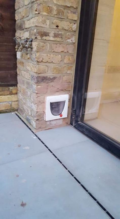 Cat Door Through Wall, Cat Flap Door, Cat Flap In Wall, Cat Door Insert, External Door Cat Flap, Cat Flap, Pet Doors, Solid Brick, Glazed Glass