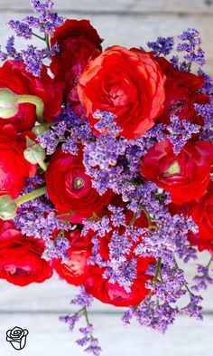 Bouquet Champetre, Bright Winter, Red And Purple, Flowers Arrangements, Arte Floral, Beautiful Bouquet, Ranunculus, Purple Wedding, Flowers Nature