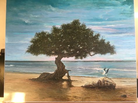 Dividivi tree of the Caribbean Aruba oil on canvas artist impression by fredlo Aruba Painting, Raising Chickens, Aruba, The Caribbean, Oil On Canvas, Art Photography, Art Pieces, Paintings, Drawings