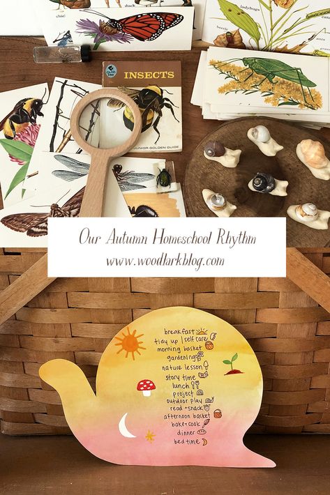 Waldorf Activities Preschool, Seasonal Family Rhythm, Autumn Equinox Homeschool, Waldorf Preschool Rhythm, Autumn Equinox Celebration Waldorf, Waldorf Fall Traditions, Waldorf Autumn Activities, Morning Rhythm, Waldorf September