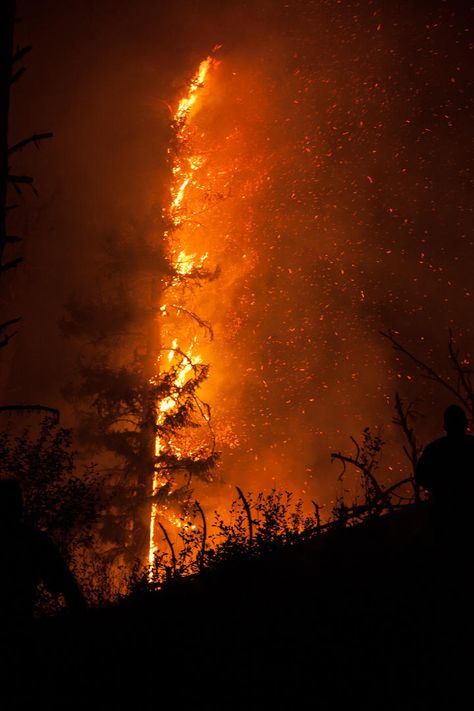 Fire Tornado, Wildland Fire, Fire Stock, Fire Image, Fire Photography, Wild Fire, Fire Element, Fire Art, Orange Aesthetic