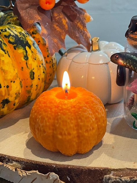 Mini Pumpkin Candles Autumn Decor - Etsy Canada Fabric Candle Holder, Candles Autumn, Fabric Candle, Dried Flower Candles, Pumpkin Scented Candles, Pumpkin Scent, Autumn Candle, Pumpkin Gift, Aroma Candle