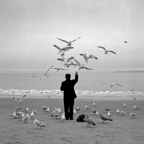 Medium Format Photography, George Carlin, Black And White Film, Coney Island, Monochrome Photography, Black White Photos, Black And White Photographs, Beach Photos, Black And White Photography