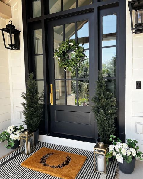 Glass front door ideas