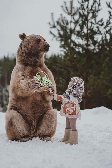 Olga Barantseva, Fairytale Images, Anti Hunting, Russian Bear, Grizzly Bear, Animal Photo, Brown Bear, 귀여운 동물, Animals Friends