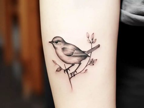 Robin Tattoos, Bird Outline Tattoo, Robin Bird Tattoos, Robin Tattoo, Small Bird Tattoos, Flying Tattoo, Watercolor Tattoo Flower, Circle Tattoo, Tattoo Meaning