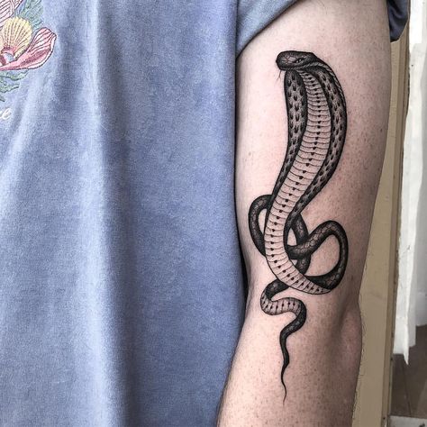 JORDY HOOPER King Cobra Tattoo, Skull Rose Tattoos, Cobra Tattoo, Tattoo Snake, Serpent Tattoo, Petit Tattoo, Snake Tattoo Design, Original Tattoos, Cool Tattoos For Guys