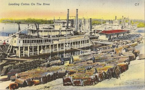 Loading Cotton on the River Bluff City, Memphis Tennessee, Memphis Tn, U.s. States, Colorful Pictures, Cotton On, Paris Skyline, Tennessee, Bathing Beauties