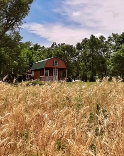 Wheat Farm, Tiny Cabin, Tiny House Living, And Just Like That, So Thankful, Farm Life, Garden Planters, A House, Farm Animals