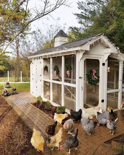 Backyard Plans, Chicken Coop Decor, Cute Chicken Coops, Chicken Coop Garden, Chicken Home, Portable Chicken Coop, Backyard Chicken Coop Plans, Chicken Coup, Coop Design