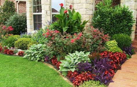 Front Entry Flower Bed Unique by Design: Canna (zone 7-11), Knock ... Front Yard Plants, Front Flower Beds, Flower Bed Designs, Front Landscaping, Have Inspiration, Front Yard Garden, Yard Design, Home Interiors, Lawn And Garden