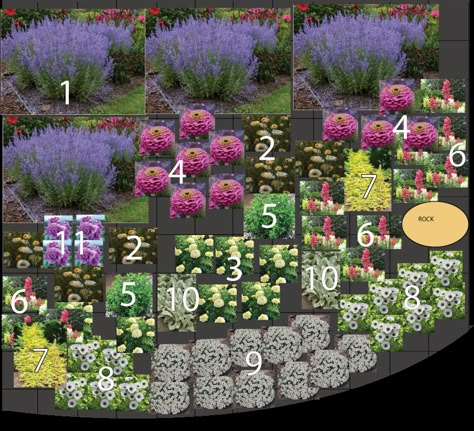 Planning a Front Yard Cut Flower Garden » Two Rights and A Left Flower Garden Layouts, Front Yard Flowers, Front Flower Beds, Flower Garden Plans, Flower Bed Designs, Front Garden Landscape, Backyard Flowers, Front Yard Garden Design, Flower Garden Design