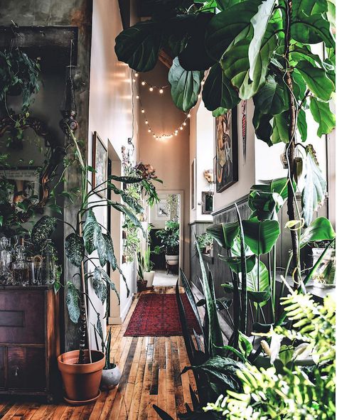 my scandinavian home: An incredible loft, filled with plants! Urban Jungle Interior, Tiny Balcony, Plant Room, Barbara Eden, نباتات منزلية, Bohemian House, Dekorasi Kamar Tidur, Gardening 101, Houseplants Indoor