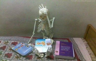 Skeleton Memes, Skeleton Pics, Silly Skeleton, 밈 유머, Funny Skeleton, Funny Profile, Funny Reaction, 웃긴 사진, Silly Images