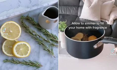 How to make your home smell like fancy homewares store William Sonoma | Daily Mail Online Smell Like Williams Sonoma, House Smell Good, William Sonoma, Home Smell, House Smell, House Smells, Williams Sonoma, Smells Amazing, Household Hacks