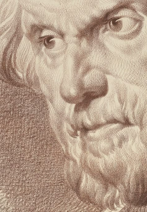 Old Masters Drawings, Old Men Drawing, Master Drawings, Academic Drawing, Rennaissance Art, Master Drawing, Anatomy Drawing, Art Masters, Human Art