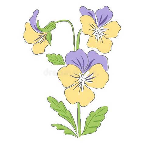 Pansy spring flower botanical hand drawn. Vector illustration isolated on white. Vintage romantic cottage garden pansies florals print royalty free illustration Pansy Drawing Simple, Flower Garden Drawing Simple, Pansy Drawing, Flower Garden Drawing, Pansy Pattern, Illustration Styles, Garden Drawing, Romantic Cottage, Hand Drawn Vector Illustrations