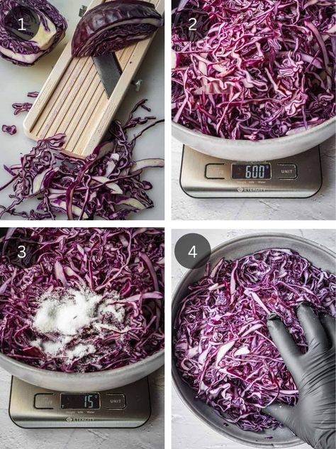 Red Cabbage Sauerkraut (Simple Fermented Cabbage) - Urban Farm and Kitchen Recipe For Red Cabbage, Fermented Red Cabbage, German Red Cabbage Recipe, Red Cabbage Sauerkraut, German Red Cabbage, Red Cabbage Recipe, Red Cabbage Recipes, Fermenting Weights, Fermented Cabbage