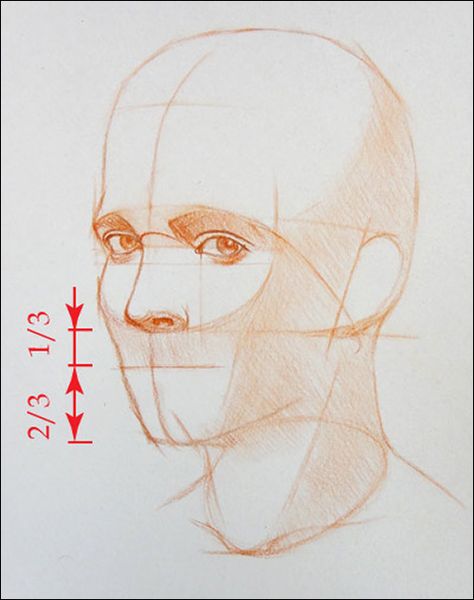 How to Draw a Portrait in Three Quarter View, Part 7 Where We Left Off, Realistic Eye Drawing, Portrait Drawings, 얼굴 그리기, Drawing Heads, Tutorials Drawing, Anatomy Drawing, Drawing Lessons, Art Tutorials Drawing