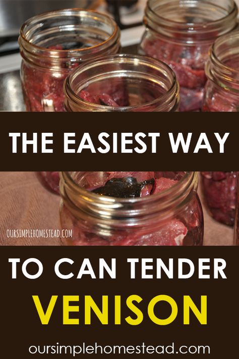 How To Can Deer Meat, How To Can Venison, Canning Deer Meat Recipes, Pressure Canning Venison, Canned Venison Recipes, Canning Deer Meat, Canned Deer Meat, Canning Venison, Canned Venison