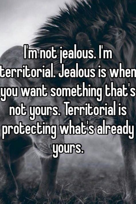 Animals Who Are So Jealous But Will Never Admit It (20 Memes) Love Quotes For Him Boyfriend, Great Inspirational Quotes, Wolf Quotes, Im Jealous, Warrior Quotes, Badass Quotes, A Lion, Infj, Inspirational Quotes Motivation