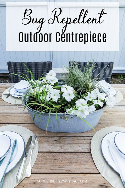 Bug Repellent Outdoor Centrepiece | So Much Better With Age | Naturally repel bees and mosquitos with plants using an easy to create floral table setting using petunias and lemongrass herbs. #summerstyle #gardening #bugrepellant Bug Repellent Centerpiece, Patio Table Centerpiece, Outdoor Table Centerpieces, Yard Planters, Floral Table Setting, Plants That Repel Bugs, Patio Table Decor, Large Outdoor Planters, Summer Table Settings