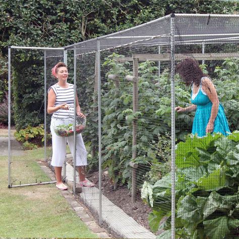 Aluminum Crop Cage With Netting & Door Vegetable Planter Ideas, Enclosed Vegetable Garden, Fruit Cages, Fruit Cage, Garden Raised Beds, Plant Cages, Inspiring Outdoor Spaces, Garden Beds Diy, Fruit Bushes