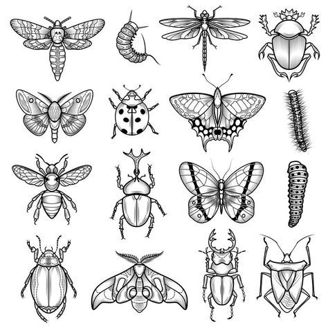 Black And White Bug Tattoo, Black And White Insects, Insect Illustration Vintage, Realistic Insect Tattoo, Tattoo Illustration Sketches, Drawing Honeycomb, Nature Flash Tattoo, Insect Tattoo Ideas, Caterpillar Sketch Flash Tattoo Nature, Bugs Drawing Sketches, Nature Flash Tattoo, Bug Drawing Simple, Caterpillar Sketch, Insect Tattoo Ideas, Caterpillar Tattoo, Bugs Drawing, Honeycomb Tattoo