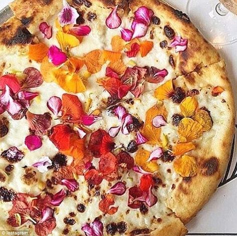 Weird Pizza Toppings, Weird Pizza, Pizza Toppings, Seasonal Flowers, Vegetable Pizza, Baked Goods, Flower Power, Pizza, Angeles