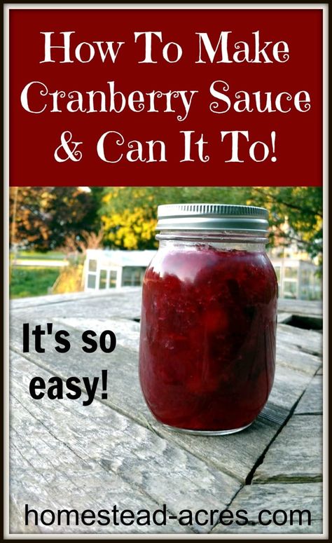 Waterbath Canning Recipes, Canning Cranberry Sauce, Make Cranberry Sauce, Homemade Cranberry Sauce Recipe, Cranberry Sauce Thanksgiving, Cranberry Orange Sauce, Canned Cranberries, Easy Canning, Pressure Canning Recipes