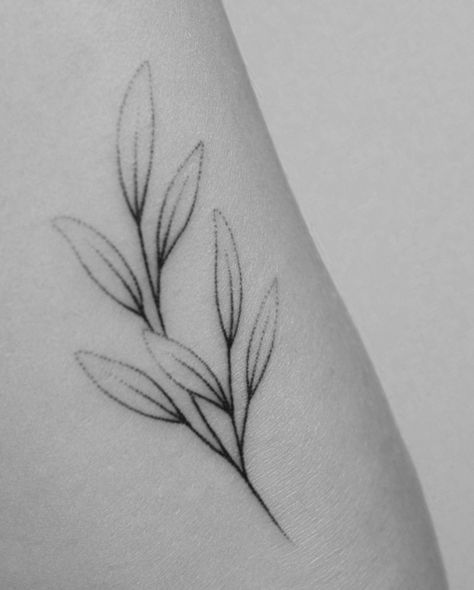 close up of kira's hand poked sage check out our studio @cocoschwarz #handpoked #sage #sagetattoo #tattoo #botanicaltattoo #wildflowers #branchtattoo #flower #flowertattoo #vegantattoo #handpoke #dotwork #stickandpoke #veganink #tattoohamburg #cocoschwarz #laramaju #tattrx #inkstinctsubmission #blackworkers #blackworkerssubmission #blacktattooart #btattooing #equilattera #darkartists #tattoodo #tattoohamburg #hamburg Small Sage Tattoo, Sage Leaf Tattoo Simple, Sage Tattoo Design, Sage Leaves Tattoo, Sage Plant Tattoo, Sage Leaf Tattoo, Sage Tattoo Flower, Sage Tattoo, Tattoo Lily