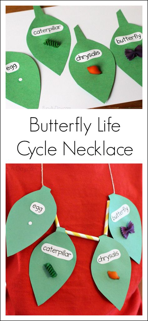 Butterfly Life Cycle Craft Necklace for Preschool and Kindergarten from Fun-a-Day Butterfly Life Cycle Craft, Traditional Butterfly, Life Cycle Craft, Craft Necklace, Insects Preschool, Bugs Preschool, Insects Theme, Theme Nature, Butterfly Life Cycle