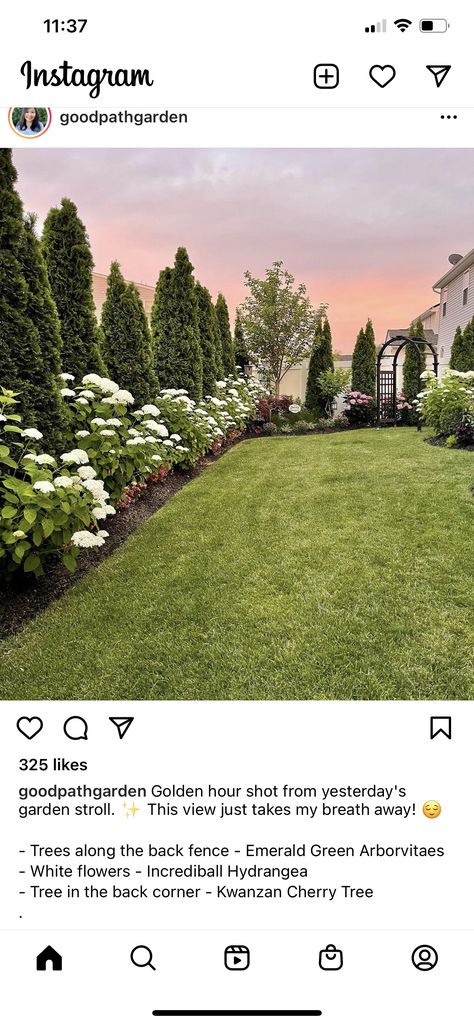 Bushes In Backyard, Landscape Ideas Craftsman Home, Landscape Rectangular Backyard, Landscaping Behind House, Arborvitae Landscaping Along Fence, Tree Line Backyard, Acerage Homes Front Yard, Tree Layout Design Backyards, Trees In Backyard Landscaping