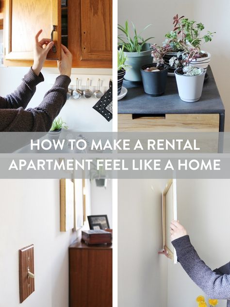 Landlord-friendly tips and tricks for transforming a rental house into a home. Apartment Upgrades, Rental Home Decor, Living Room Decor Tips, Apartment Hacks, Old Apartments, Rental Apartment, Diy Apartment Decor, Rental Decorating, Small Apartment Decorating