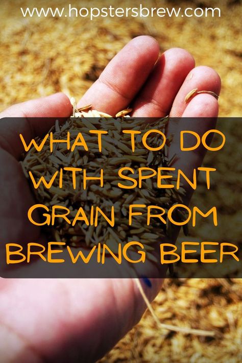 Spent Grain Recipes, Extract Brewing, Craft Beer Food Pairing, Brewing Methods Coffee, Home Beer Brewing, Spent Grain, All Grain Brewing, Canning Food Preservation, Chicken Feed