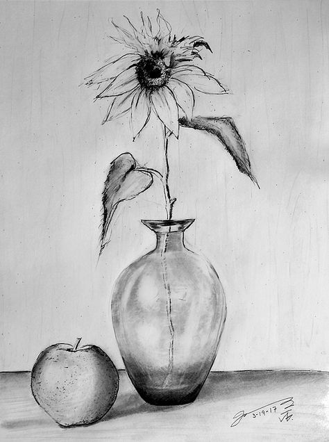 Still Life: Glass Vase with One Sunflower 🌻 and One Apple 🍎 03-19-17 Graphite Pencil  11" x 14" By Jose A Gonzalez Jr Still Life Pencil Shading, Flower Vase Drawing, Apple Drawing, Drawing Still Life, Still Life Sketch, Landscape Pencil Drawings, Sunflower Vase, Pencil Drawings Of Flowers, Shadow Drawing