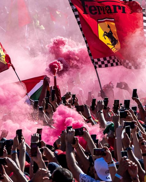 Pink Ferrari, Auto Racing Events, Loving Him Was Red, Italian Grand Prix, F1 News, Ferrari F1, Sports Car Racing, F1 Racing, Charles Leclerc